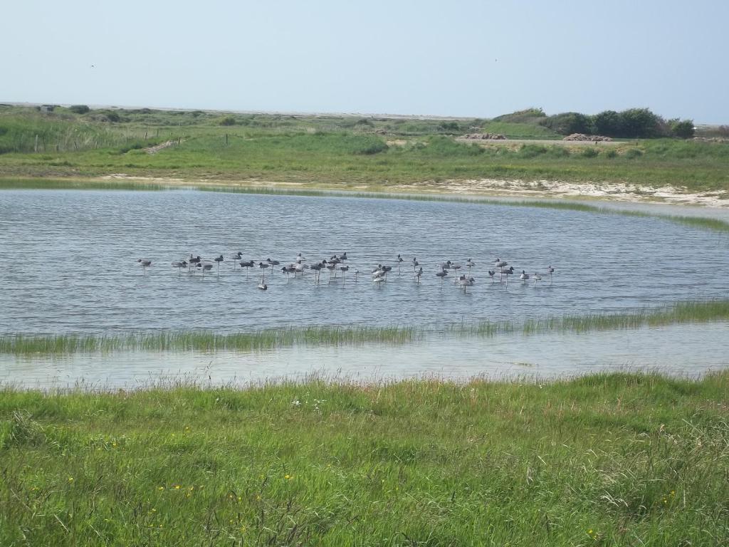 Camping Paradis Les Galets De La Molliere Cayeux-sur-Mer Exterior foto